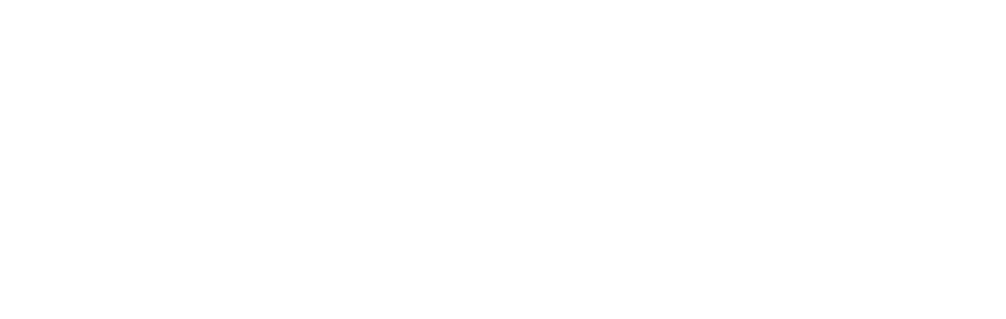 ViViViT Logo